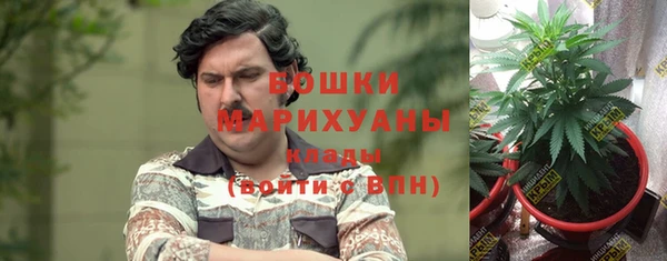 гидра Алзамай