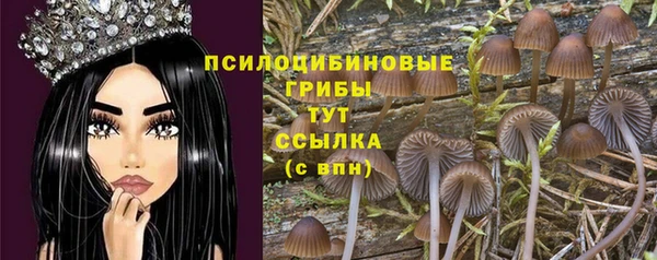 гидра Алзамай