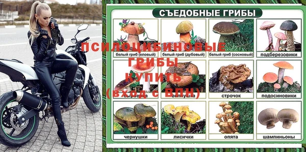 гидра Алзамай