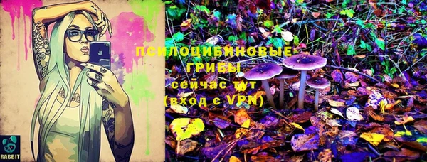 амфетамин Алексеевка