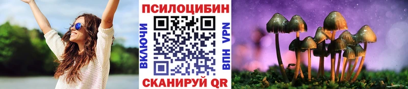 Галлюциногенные грибы прущие грибы Кызыл